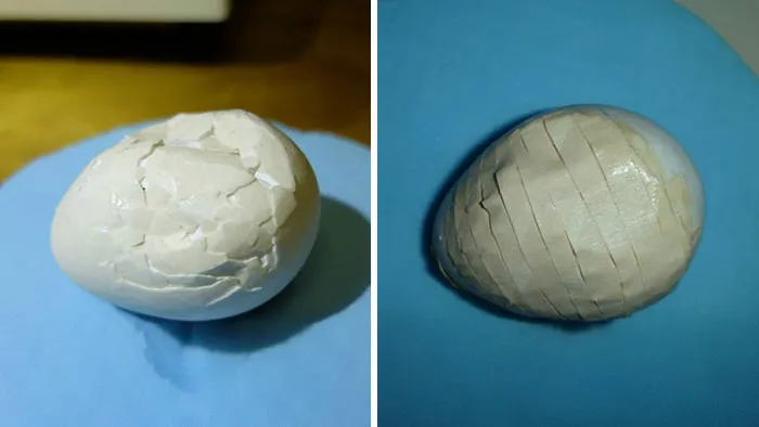 Ranger Repairs Extremely Rare Parrot's Crushed Egg With Glue And Tape