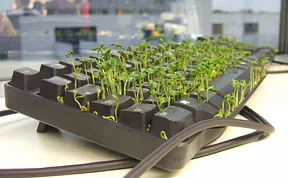 25 Prank Ideas That Are Too Good Not To Try