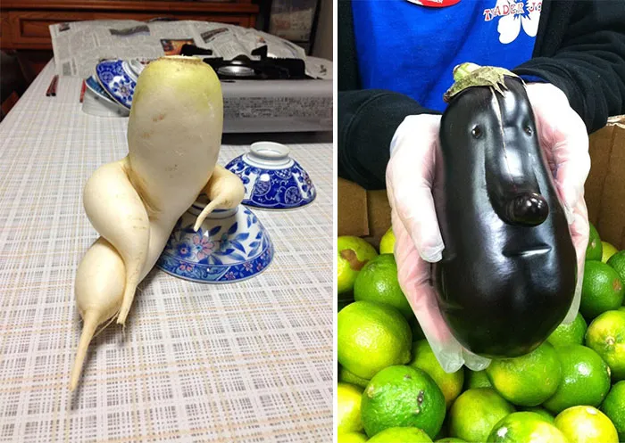 16 Funny-Shaped Fruits And Vegetables That Forgot How To Be Plants