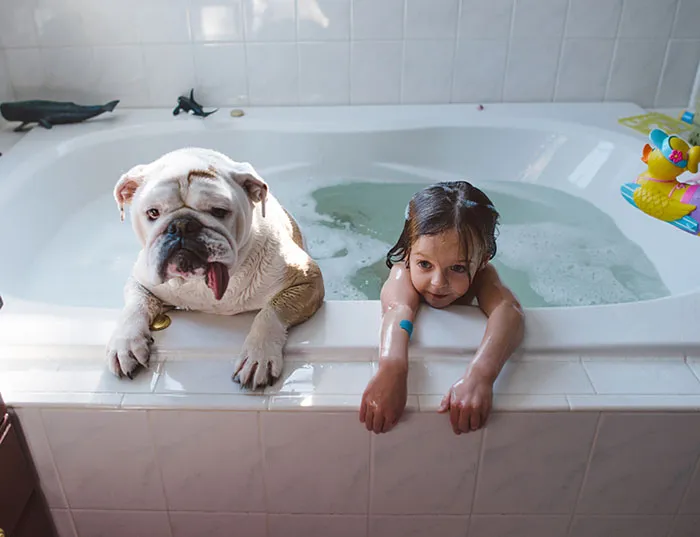 The Heartwarming Friendship Of A Little Girl And Her English Bulldog