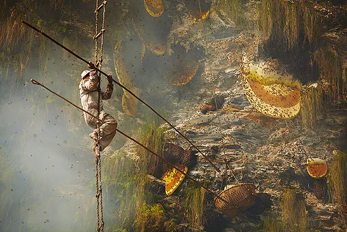 Stunning Images Of The Ancient Traditional Honey Hunters Of Nepal