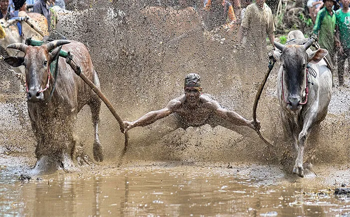 The Winners Of The 2014 Sony World Photography Awards Have Been Announced