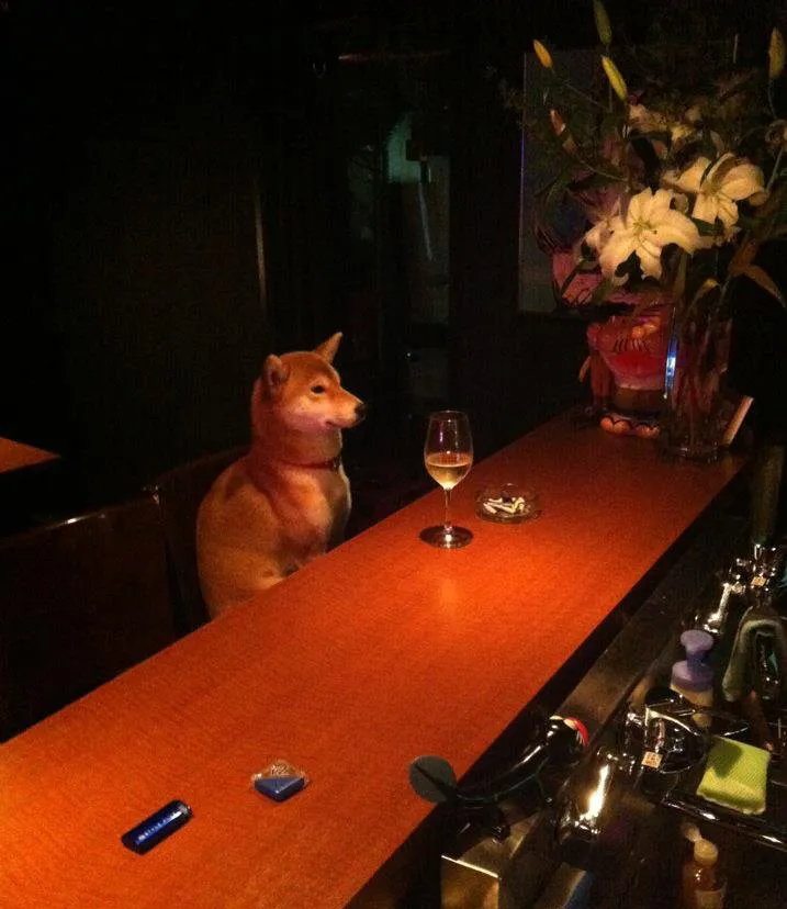 WTF? 22 Of The Weirdest and Most Unexplainable Pictures Ever