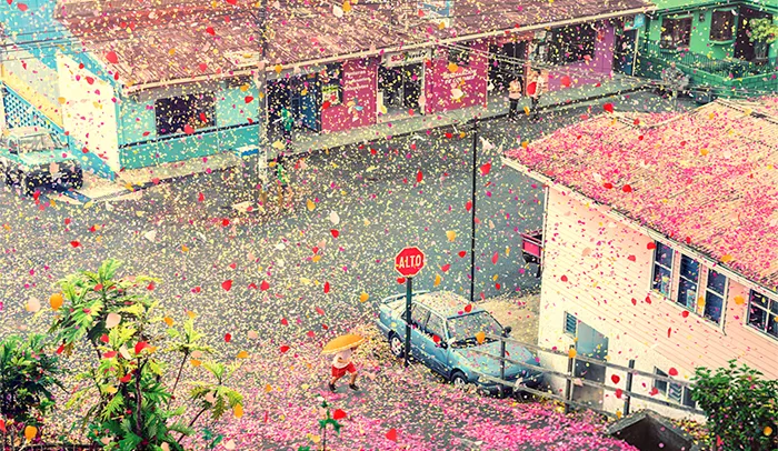 8 Million Flower Petals Rain Down On A Village In Costa Rica