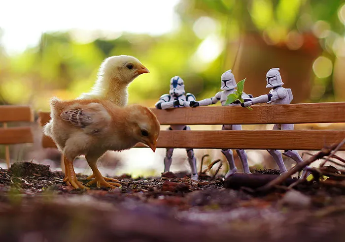 Miniature Star Wars Adventures By Zahir Batin
