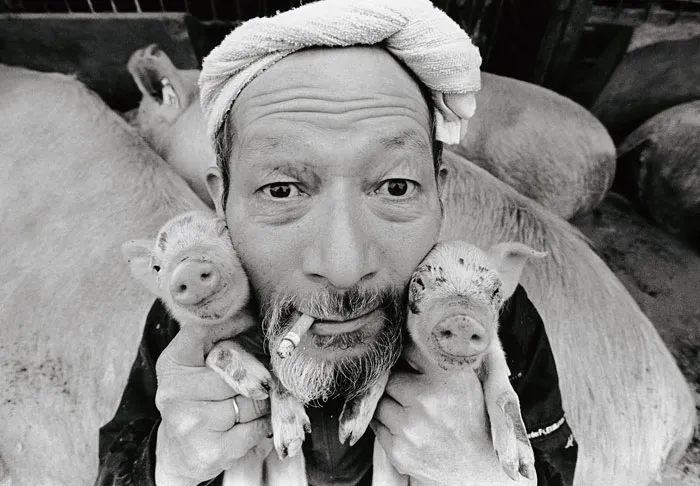 Adorable Friendship Between A Farmer And His Pigs