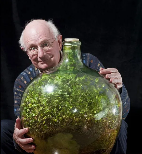 80-Year-Old Man Hasn't Watered This Sealed Bottle Garden Since 1972 And It's Still Alive