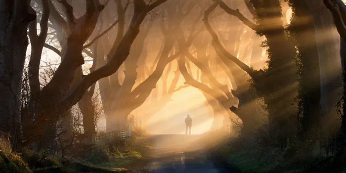 The Stunning Tree Tunnel You Saw On 'Game Of Thrones' is REAL And Can Be Found In Northern Ireland