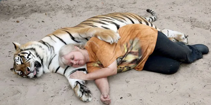 This Woman Keeps Two Pet Tigers In Her Backyard - And They're As Loving And Playful As Kittens
