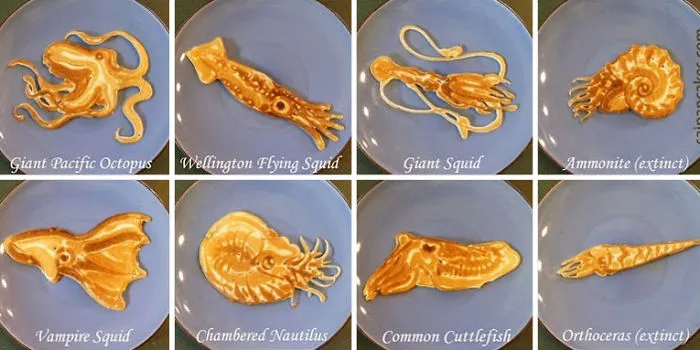 Dad Creates Educational Pancakes For His Kids