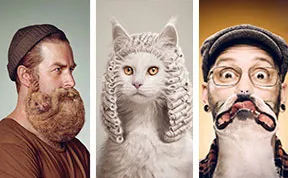 25 Cute And Funny Print Ads Starring Animals