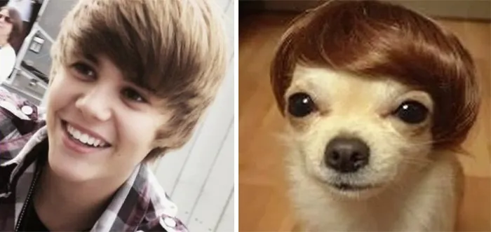 Jb And The Dawg