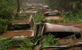 This Traffic Jam Was Stuck In Belgian Forest For 70 Years