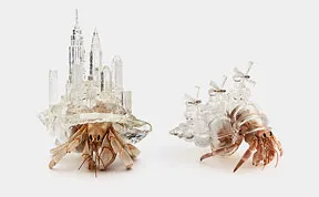 Artist 3D-Prints City-Shaped Shells For Hermit Crabs 