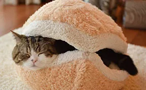 25 Awesome Furniture Design Ideas For Cat Lovers