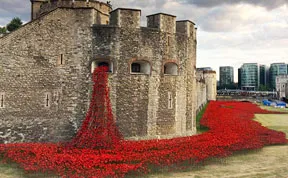888,246 Poppies Pour Like Blood From The Tower Of London To Remember The Fallen Soldiers Of WWI
