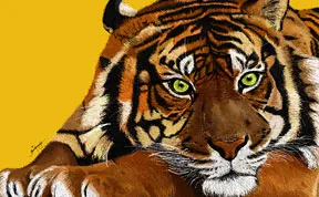 I Did These Paintings With Microsoft Paint