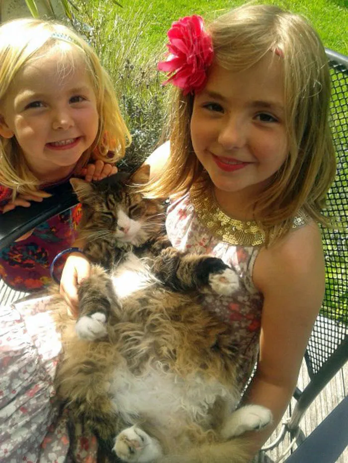 179 Heartwarming Photos Of Kids Playing With Their Cats