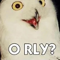 Orly Zilkha