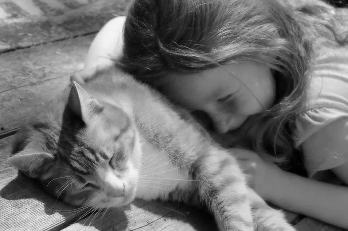 179 Heartwarming Photos Of Kids Playing With Their Cats