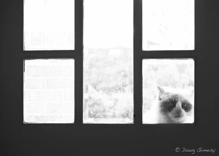 Is There Anybody In There?