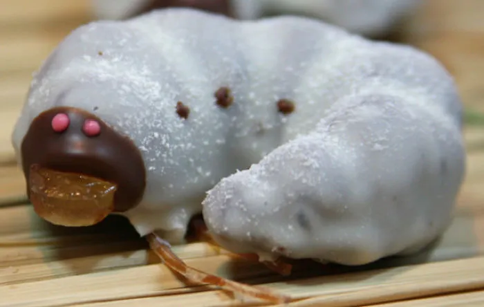 Grub Chocolate