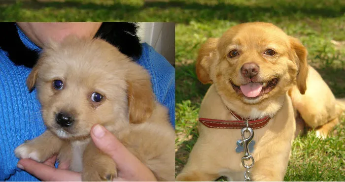 8 Years Apart