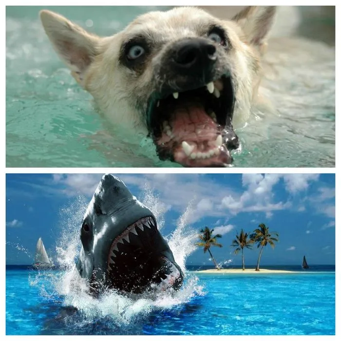 Gnomeo Looks Like Jaws!