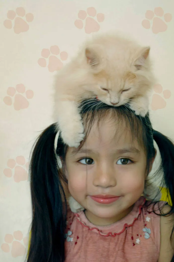 179 Heartwarming Photos Of Kids Playing With Their Cats