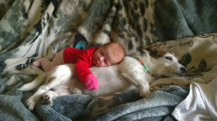 Weasel And Meda :)
