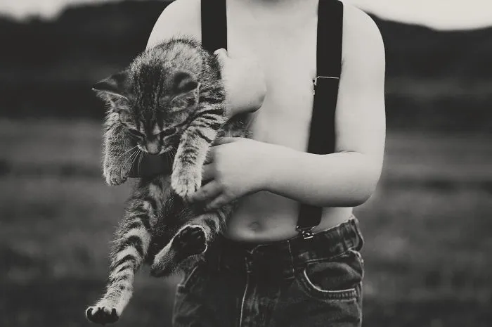 179 Heartwarming Photos Of Kids Playing With Their Cats