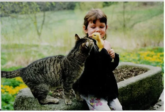 179 Heartwarming Photos Of Kids Playing With Their Cats