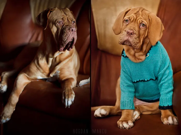 Maya, 3 Years Apart