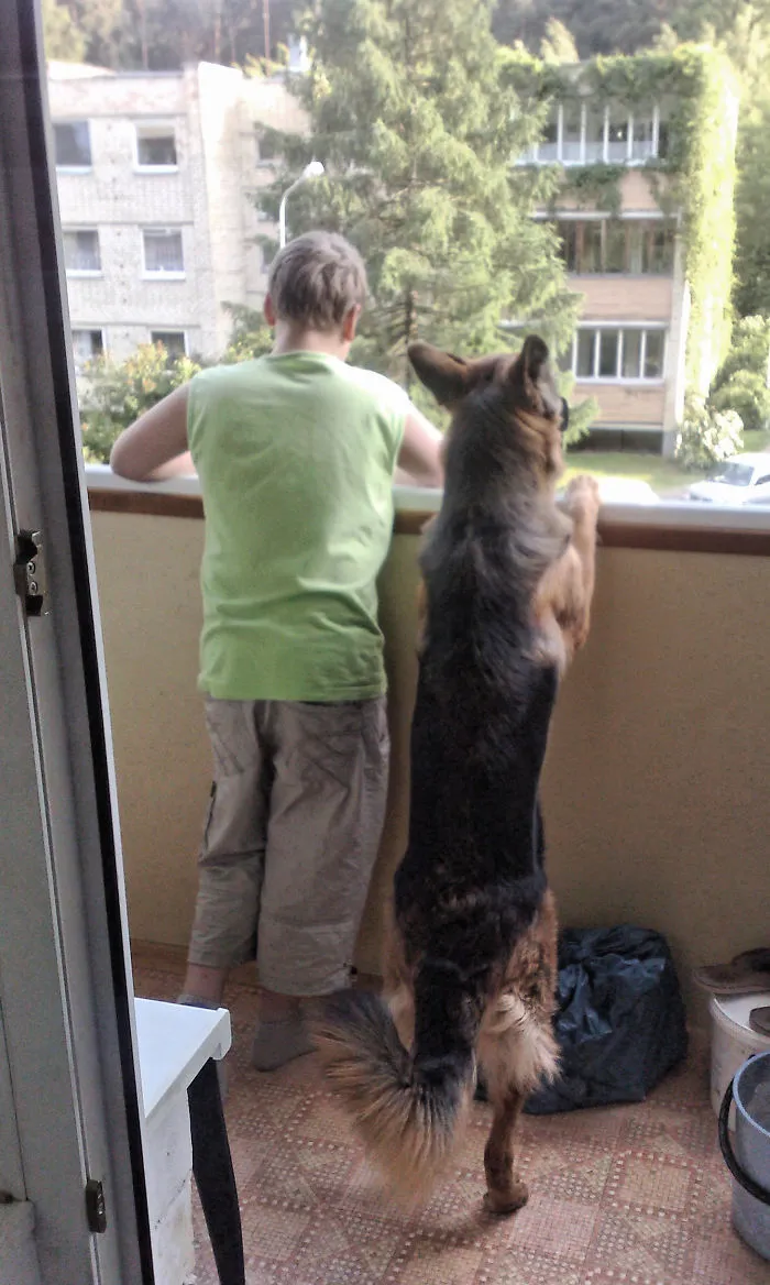 Dzg&lota