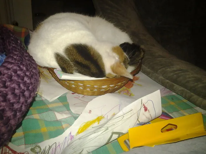 I Can Sleep Here.. Right. Paper Is A Good Pillow