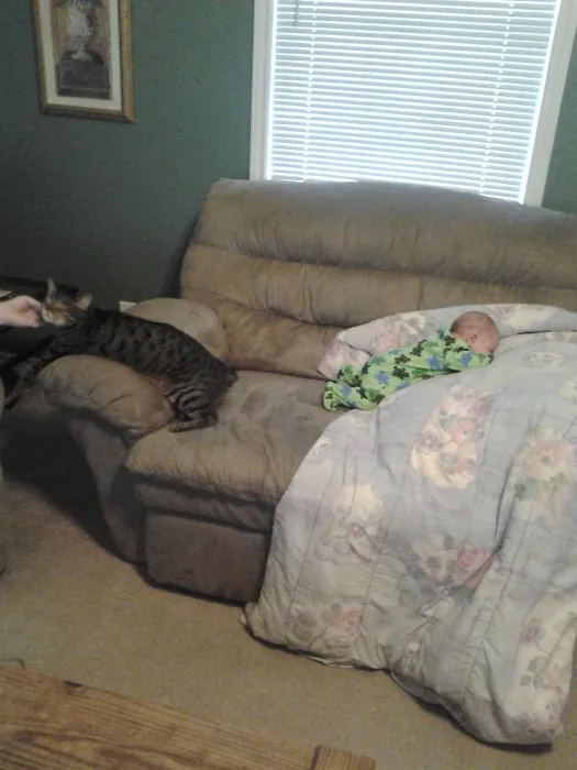 179 Heartwarming Photos Of Kids Playing With Their Cats