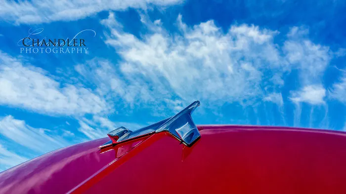Wild Blue Yonder