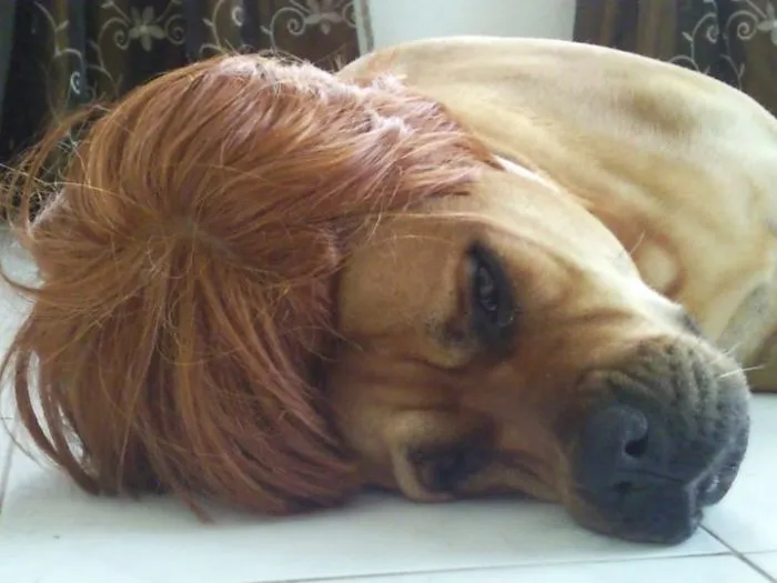 My Girl In Her Favourite Wig! She Likes To Go Out Partying!