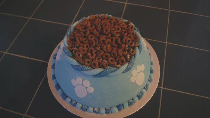 Dog Bowl