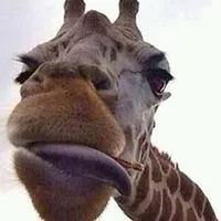 Immanuel Kabuhung