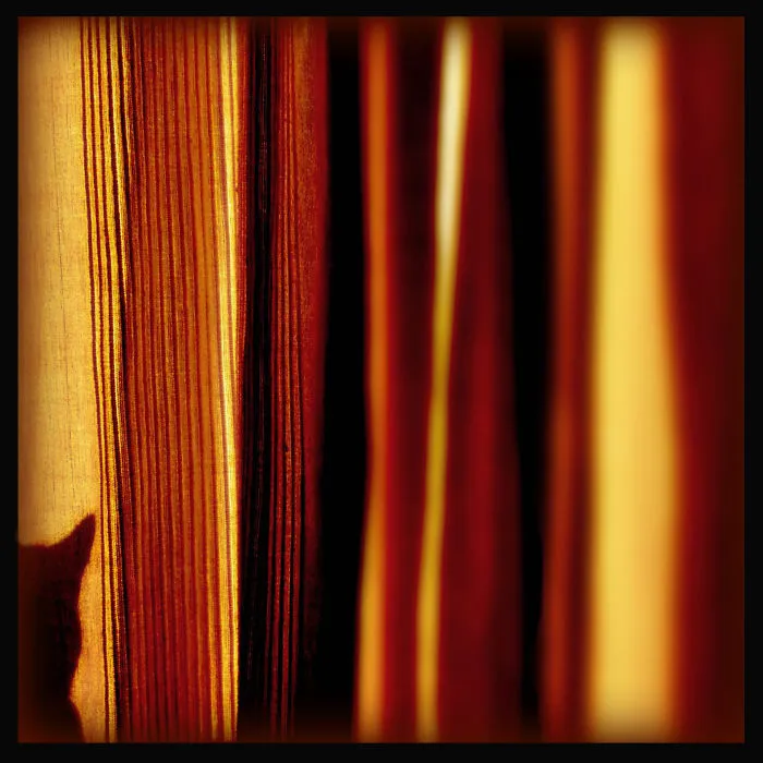 How Shall I Divide My Time? (early Morning Cat, Seen From Behind The Bedroom Curtains)