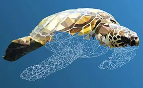 Underwater Life: Low-Poly Illustrations Made By Hand, Line After Line, Poly After Poly