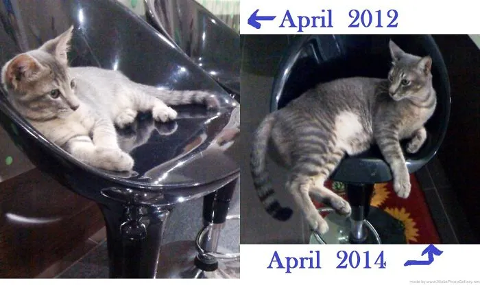 Billnabilah's Baby; Bubu From Dengkil.. 2 Years Apart.. Teehee :d