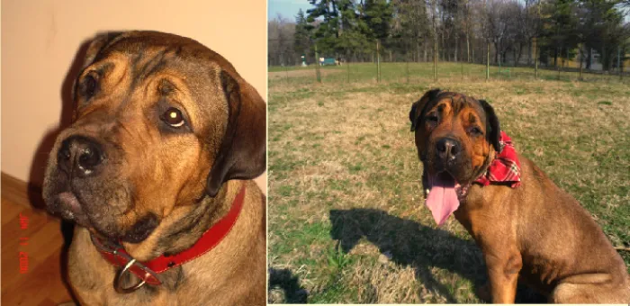 8 Years Apart
