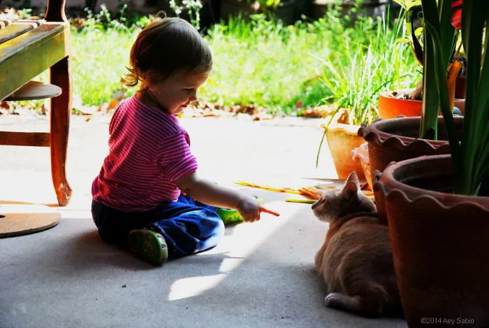 179 Heartwarming Photos Of Kids Playing With Their Cats
