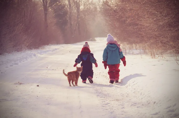 179 Heartwarming Photos Of Kids Playing With Their Cats