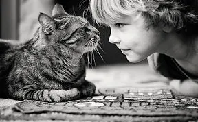 179 Heartwarming Photos Of Kids Playing With Their Cats