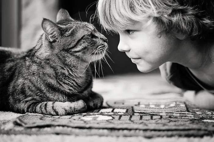 His Best Friend