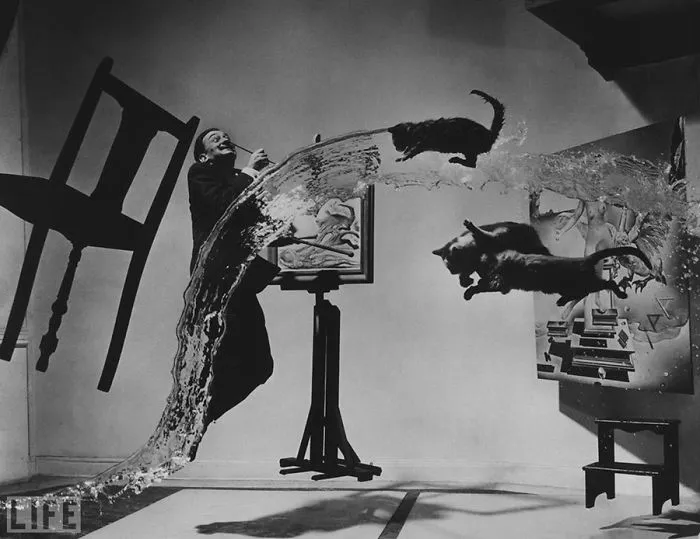 Jumping Cats At Play Look Like Ninjas 