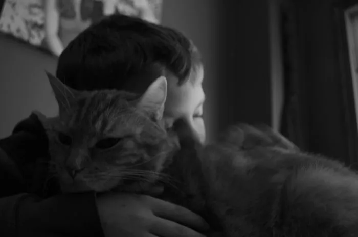 179 Heartwarming Photos Of Kids Playing With Their Cats